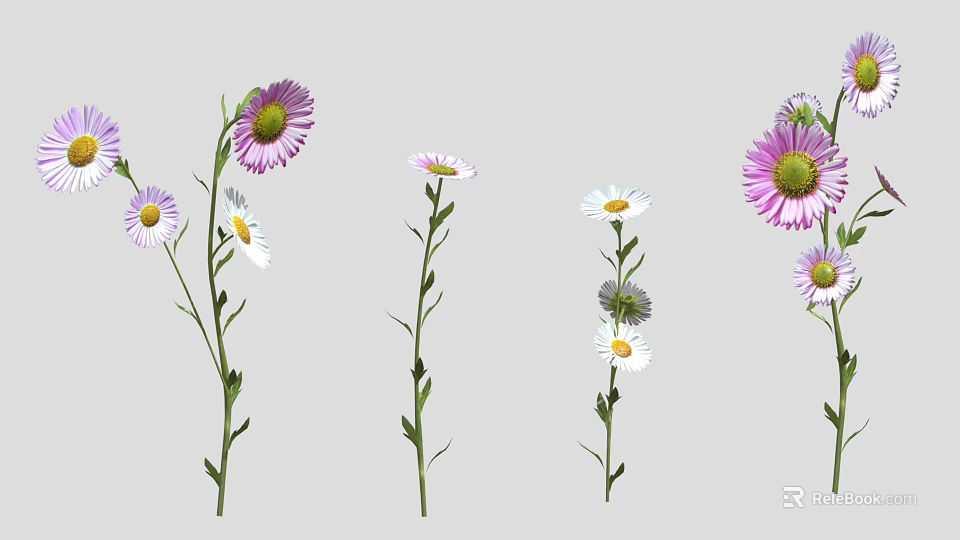 Vibrant Purple White and Pink Flowers with Green Stems and Leaves on Gray Background 3d model 