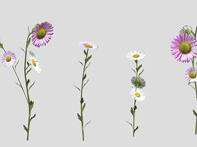 Vibrant Purple White and Pink Flowers with Green Stems and Leaves on Gray Background 3d model