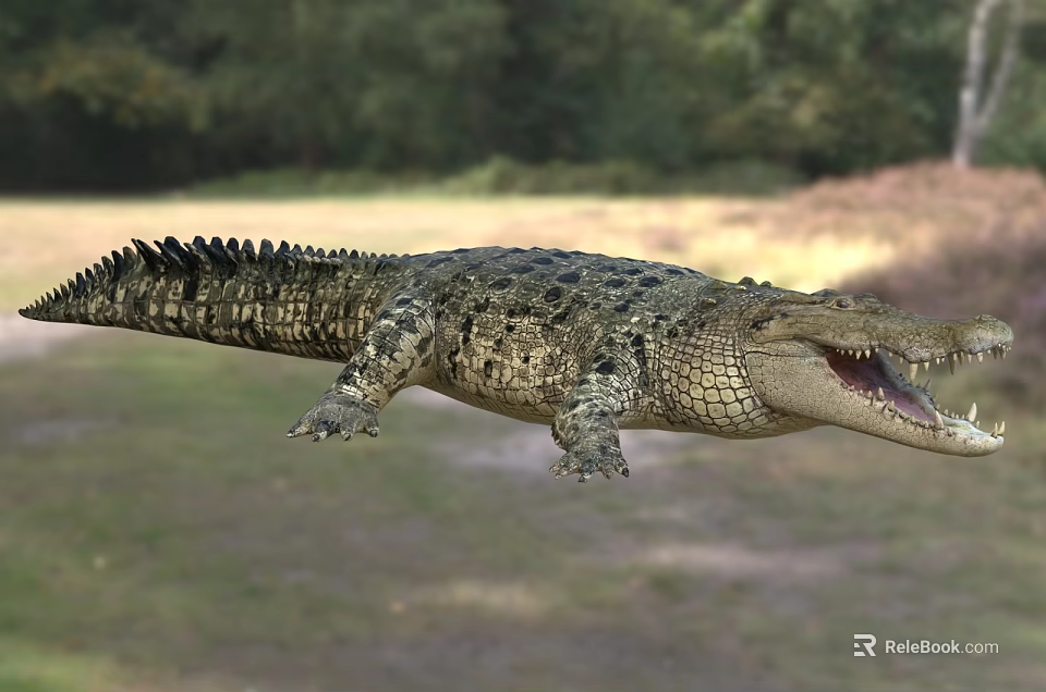 Large Crocodile Reptile With Open Mouth In Natural Grassland And Trees Habitat 3d model 