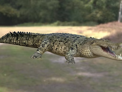 Large Crocodile Reptile With Open Mouth In Natural Grassland And Trees Habitat 3d model