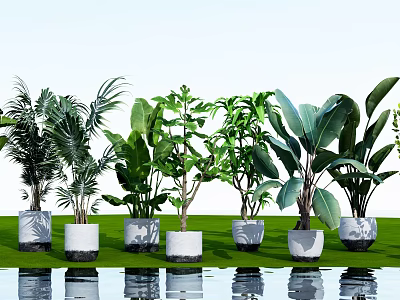 Modern Potted Plant 3d model