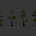 Four Green Trees with Different Shapes and Brown Trunks Against Gray Background and Ground Reflections