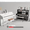 Elegant Musical Instruments and Art Supplies Including White and Black Pianos Stools Vases and Plants