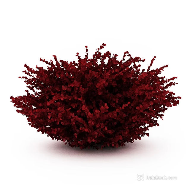 Vibrant Red Shrub With Round Shape And Lush Foliage For Garden Landscaping 3d model 