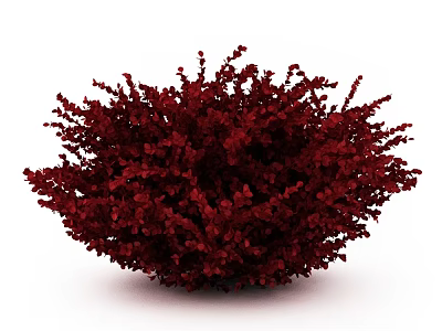 Vibrant Red Shrub With Round Shape And Lush Foliage For Garden Landscaping 3d model