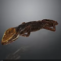 Red Brown Lizard With Distinct Head And Textured Skin On Dark Background