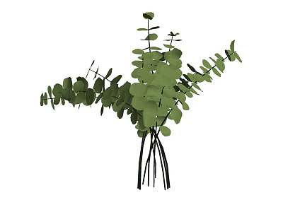 Fresh Green Eucalyptus Leaves Bunch Perfect For Home Decor And Arrangement 3d model