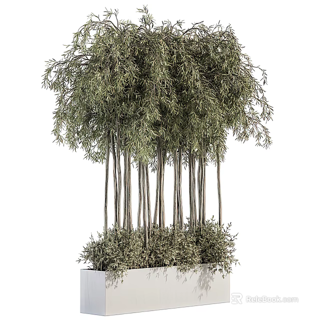 Bonsai Potted Plant With Slender Trunks And Lush Green Foliage In Square Container 3d model 