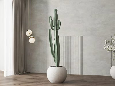 Green Cactus Plant in White Round Pot with Gray Wall Wooden Floor and Hanging Lights 3d model
