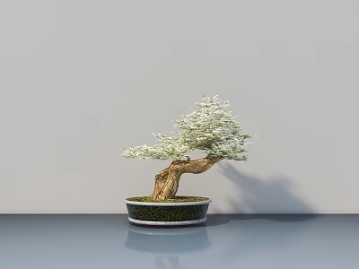 Graceful Bonsai Tree With Curved Trunk And Green Foliage In Light Pot On Gray Tabletop 3d model
