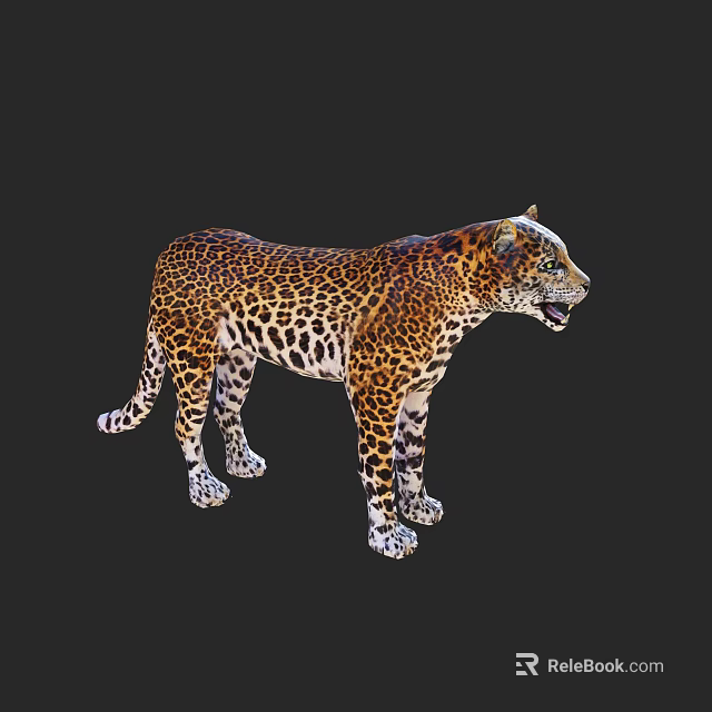 Exotic Reptile With Leopard Print Skin Standing On Black Background Displaying Detailed Patterns 3d model 