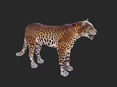 Exotic Reptile With Leopard Print Skin Standing On Black Background Displaying Detailed Patterns 3d model