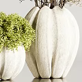 Various Shaped Vases With White Flowers Green Plants And Slender Branches On Light Gray Background