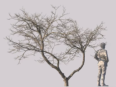 Leafless Tree Standing Next to Statue with Backpack in Gray Background 3d model