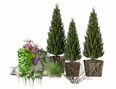 Potted Bonsai Plants with Green Conifers Purple Pink Flowers Green Vines in Wooden Woven Pots 3d model