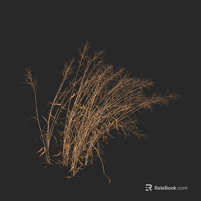 Wispy Dry Grass Silhouette With Thin Stems Against Black Background 3d model 