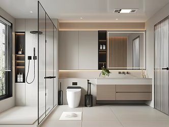 Toilet Bathroom Cabinet Bathroom Cabinet Mirror Cabinet Mirror Toilet Shower Room Toilet Door 3d model