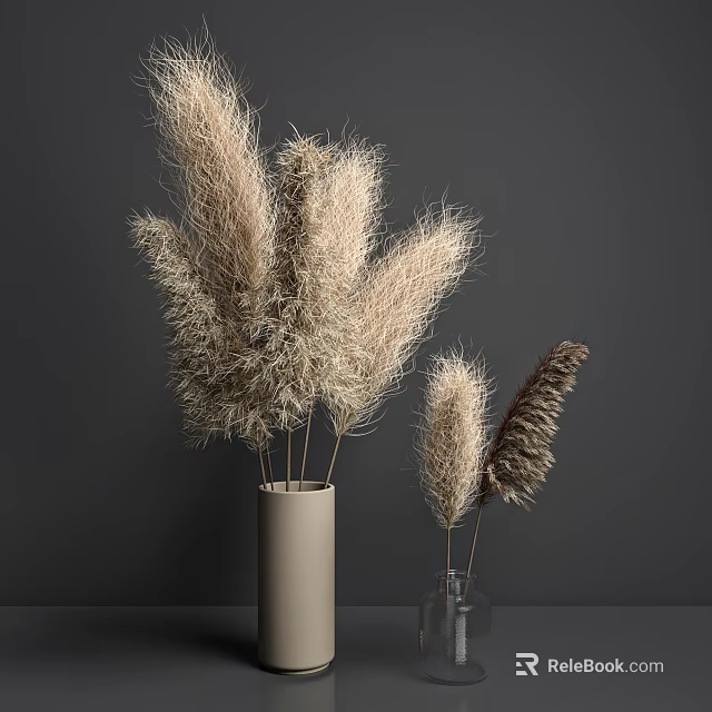 Natural Pampas Grass in Beige Ceramic and Clear Glass Vases on Dark Grey Background 3d model 