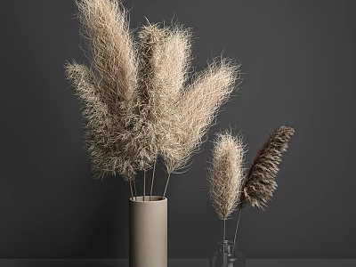 Natural Pampas Grass in Beige Ceramic and Clear Glass Vases on Dark Grey Background 3d model