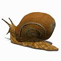 Modern Snail Animal Snail 3d model