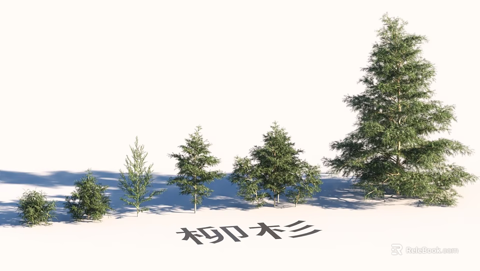 Garden Landscape Design With Cryptomeria Trees of Various Sizes and Lush Foliage 3d model 