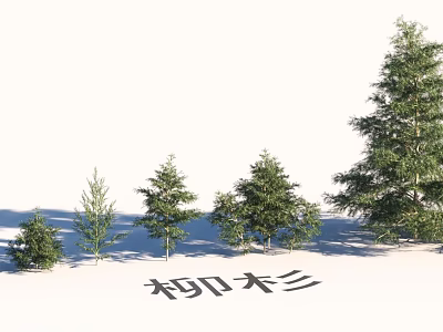 Garden Landscape Design With Cryptomeria Trees of Various Sizes and Lush Foliage 3d model