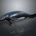 3D Rendered Manatee With Smooth Black Body And Flippers Underwater Creature Model