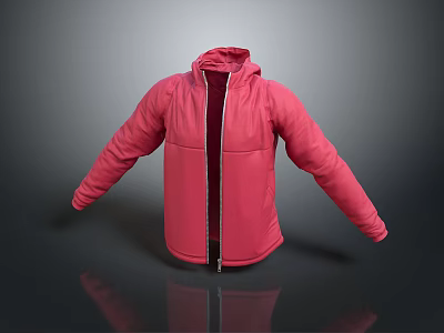 cotton-padded jacket down jacket goose down jacket thick clothes thick cotton-padded clothes autumn and winter clothing winter clothing autumn clothing 3d model