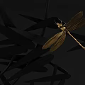 Decorative Ornament Set With Circular Black Frame Bamboo Leaves And Golden Insects