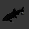 Animated Game Movie Fish Character With Rubik Cube On Gray Background