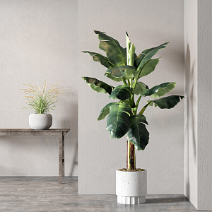 Modern potted plant potted combination 3d model