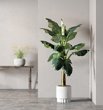 Modern potted plant potted combination 3d model