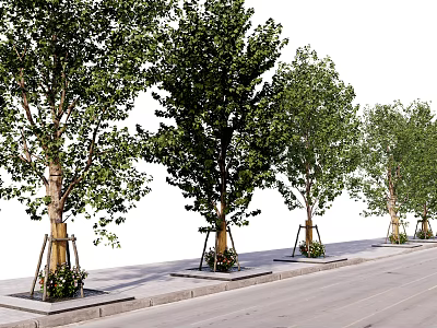 Lush Green Arbor Trees With Trunk Supports Lined Along Street Sidewalk 3d model