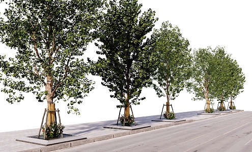 Green plants, trees, street trees, pool covers, road greening, sidewalks 3d model