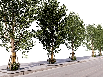 Green plants, trees, street trees, pool covers, road greening, sidewalks 3d model