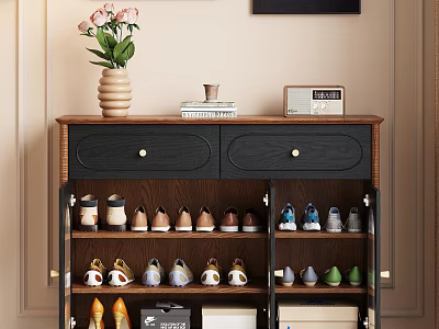 Wooden Shoe Cabinet Interior With Drawers Cabinets Vase Flowers Books And Organized Shoes 3d model