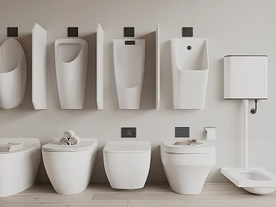 White Modern Toilet Collection With Wall Mounted And Floor Standing Designs On Wooden Floor 3d model