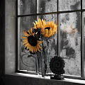 Bright Sunflowers in Glass Vase on Window Sill with Spiral Decoration and Textured Glass