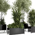 Lush Green Bonsai Potted Plants With Various Trees Shrubs And Black Planters