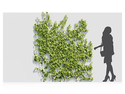 Lush Green Plant Wall Design With Woman Silhouette Touching Fresh Leaves 3d model