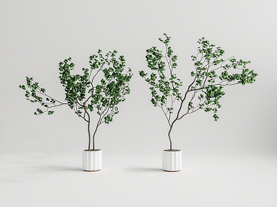 Modern potted plant potted landscape tree 3d model