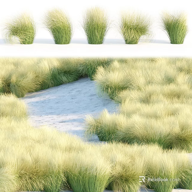 Lush Green And Golden Grass Field With Winding Sandy Path In Natural Scenery 3d model 