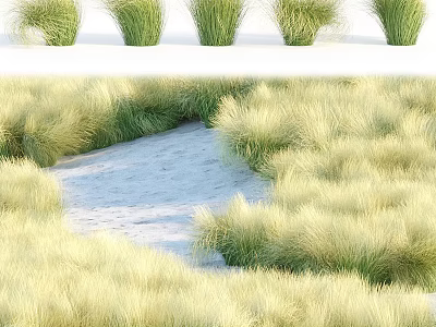 Lush Green And Golden Grass Field With Winding Sandy Path In Natural Scenery 3d model