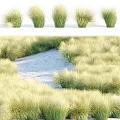 Lush Green And Golden Grass Field With Winding Sandy Path In Natural Scenery