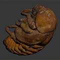 Hand Carved Insect Like Sculpture With Brown Orange Texture And Artistic Details