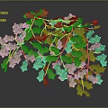Lush Green Ivy Plant With Vibrant Leaves And Cascading Branches