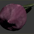 Vibrant Fresh Purple Beetroot With Green Leaves And Healthy Vegetable Appearance
