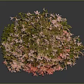 Bonsai Tree With Pink Flowers In Square Light Brown Pot Against Gray Background
