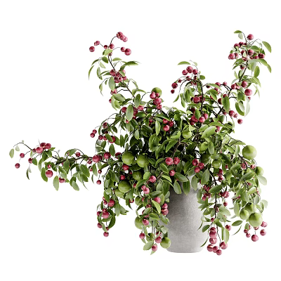 Gray Ceramic Vase With Green Leaves Red Berries And Trailing Branches For Home Decoration 3d model