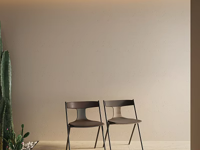 Modern Single Chairs Featuring Dark Backrest And Metal Legs By Light Brown Wall With Cactus 3d model